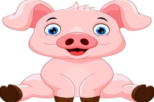 八宝罗盘中号的与运用