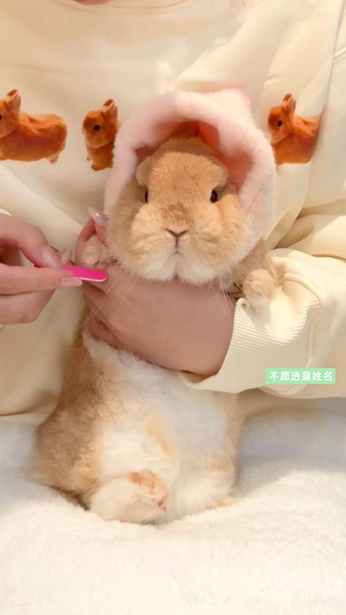 2012年11月8日店铺风水布置,怎样布置店铺风水 2012年11月8日店铺风水布置,怎样布置店铺风水