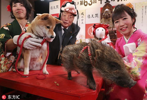 橘皮男生面相学不好