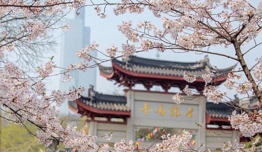 属猴人几月份出生优秀