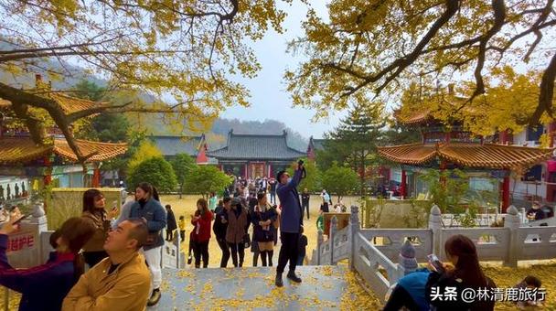 张惠妹年轻漂亮图片47岁张惠妹减重近60斤，双