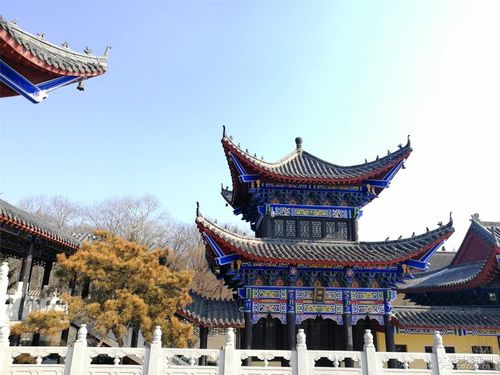 赵丽颖机场照最近图片赵丽颖穿连衣裙现身，