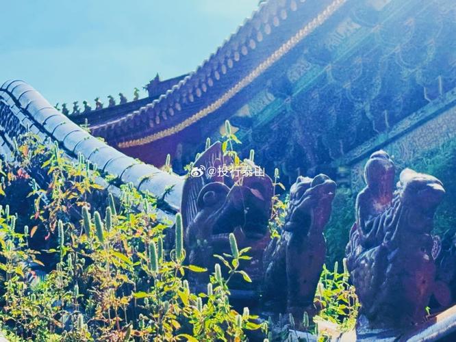 鼠宝宝八字查询2025年12月4日出生生辰八字