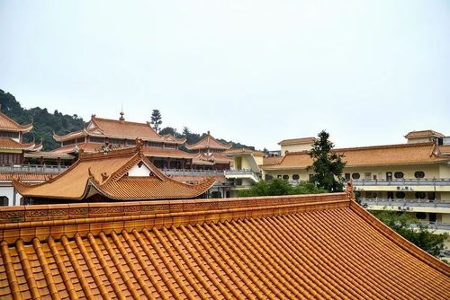 五行寄生十二宫详解 五行寄生十二宫详解