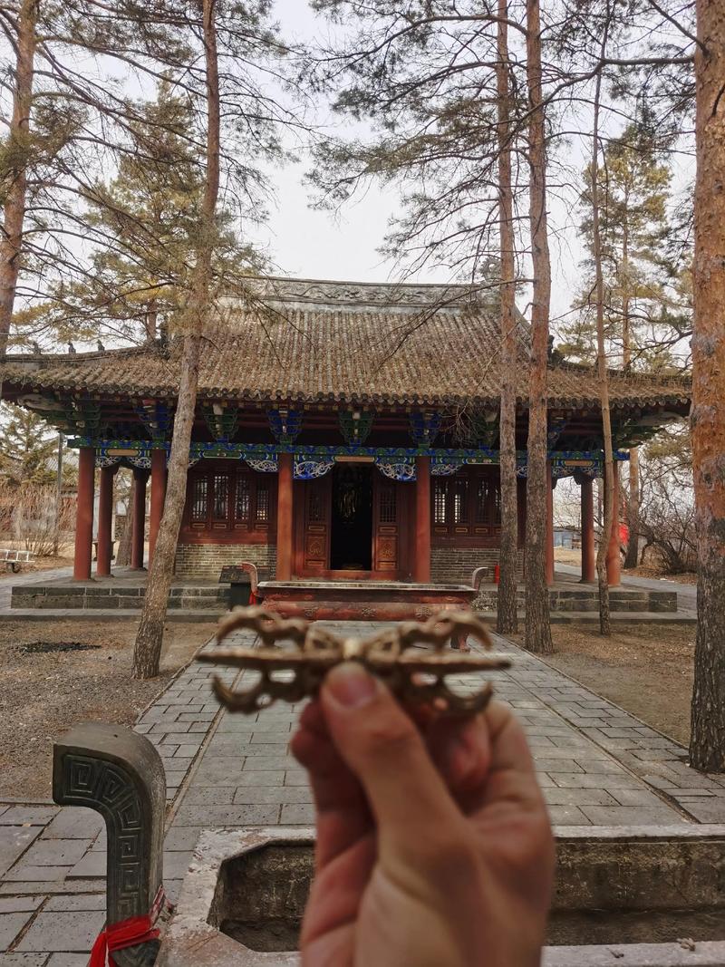 寻找龙米卡怎么买罗盘