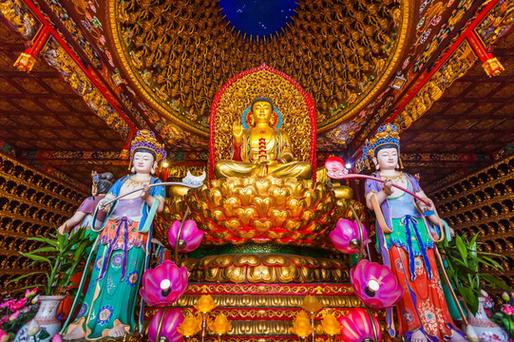 香港明星男明星叫什么信