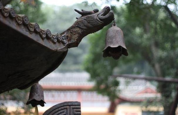 赵敏芬劝过王艳不要嫁入豪门如何看待王艳在