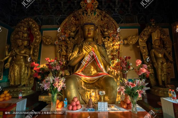 2025年2月属兔人的运势