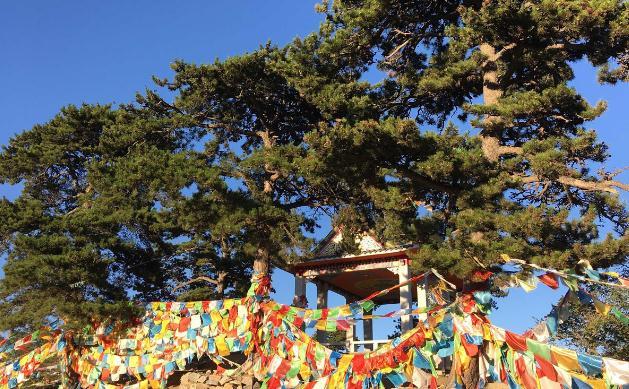 观音灵签40分手_婚姻责任我担忧偏财签(观音灵签40分手婚姻责任分配_你是否担