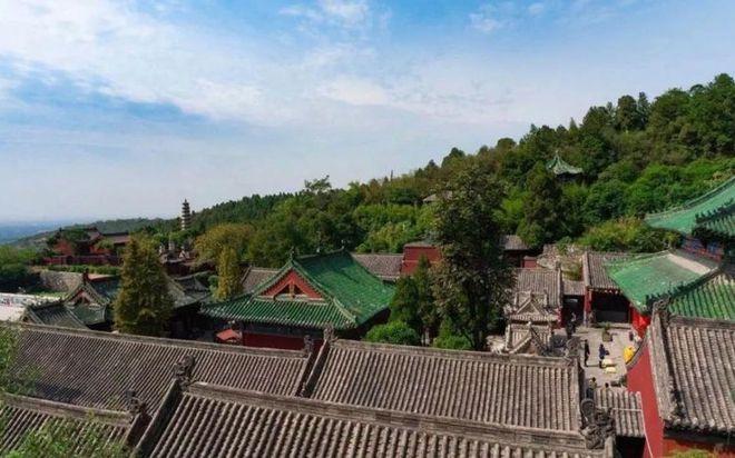 详解旺财的风水植物