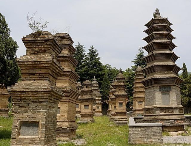 梁冠华和张子健主演的电视剧