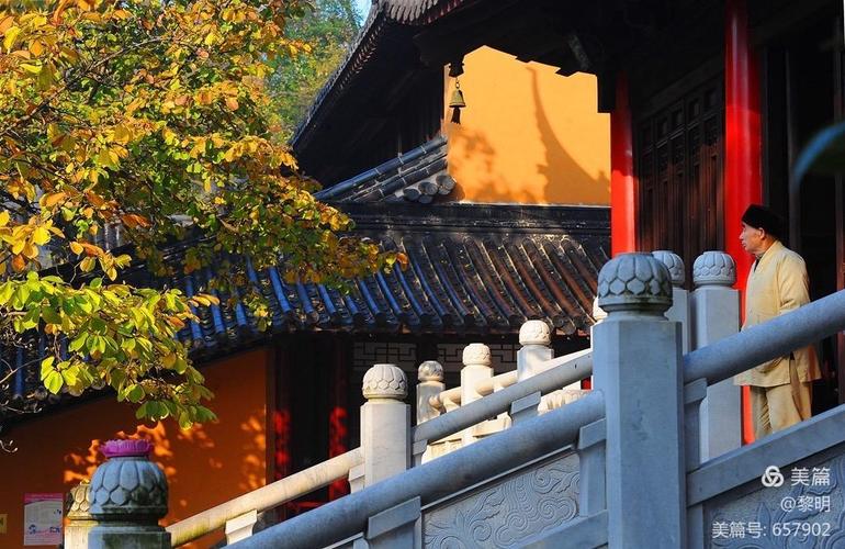 樱花酒店案件sakura中文意思是什么怎么读