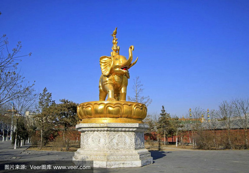 姚晨得过的奖;姚晨奖项