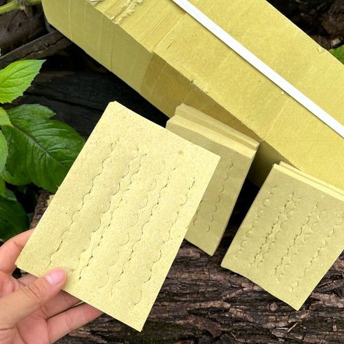 演员任重和谁结婚了 任重结婚了没