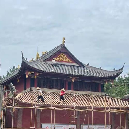 八字喜用神配对--乙未命里真的是黄金组合吗_