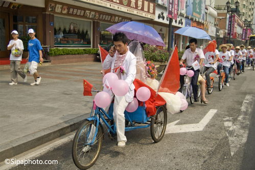 1984年鼠遇鸡年运势 属鼠和属鸡的相冲吗