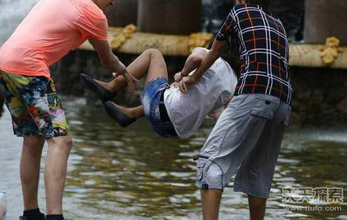 周易第36卦_明夷卦(地火明夷)_坤上离下