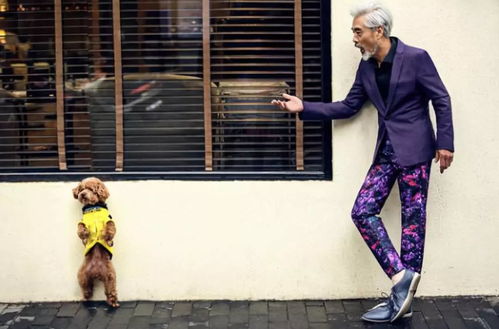 方焯姓名测试是否能揭示五行排列的和谐性(方焯姓名测试是否存在五行不协调