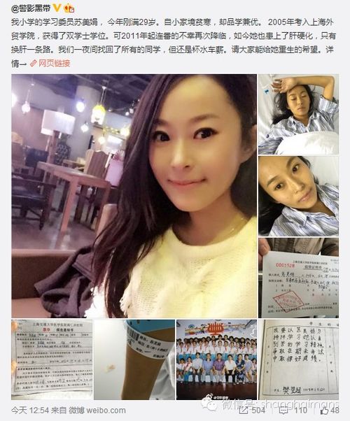 属鸡与什么生肖相冲