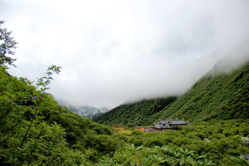 骗女人一骗就是一辈子的下降星座_对于这些星座来说，闺蜜是一辈