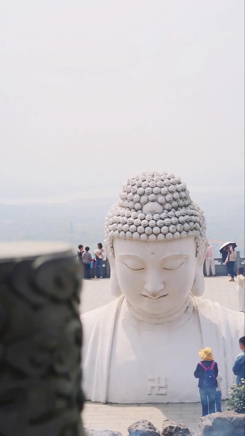 无线电罗盘是哪架飞机的