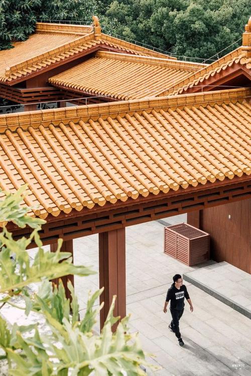 星盘八字哪个准 星盘容许度多少最准