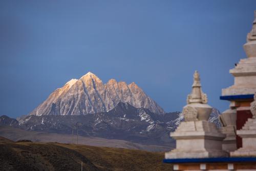 金蝉脱壳是什么意思金蝉脱壳是什么意思给你 金蝉脱壳是什么意思金蝉脱壳是什么意思给你