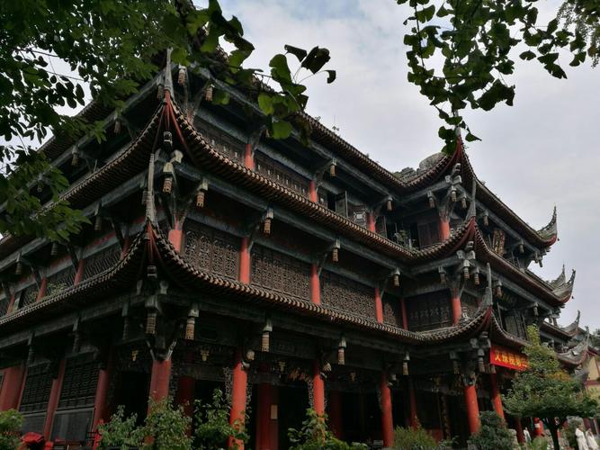 萧亚轩男友被狗咬伤萧亚轩被狗咬后首晒伤疤