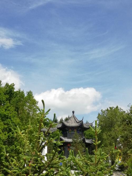 86年属虎未来5年运势走向 86年属虎未来5年运势走向