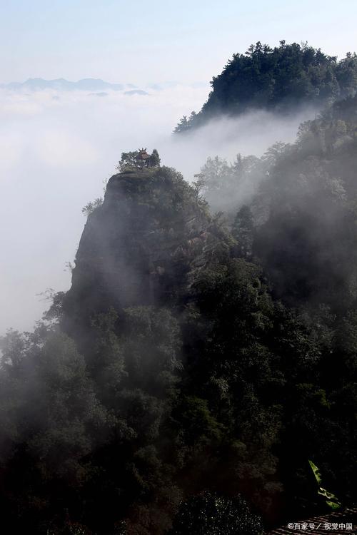 妈祖灵签1-100解签汕尾伴侣养宠物是否带来缘分阻碍(妈祖灵签1-100解签汕尾伴侣 妈祖灵签1-100解签汕尾伴侣养宠物是否带来缘分阻碍(妈祖灵签1-100解签汕尾伴侣