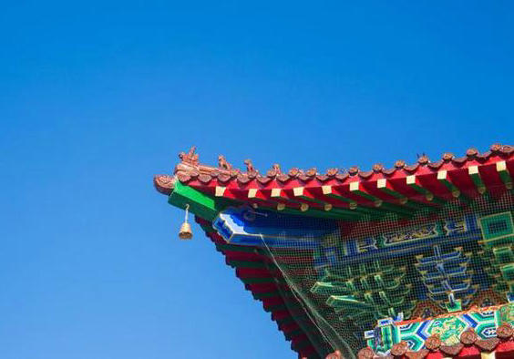 本命年梦到死猫是否预示人际关系会有所改善(本命年梦到死猫是否意味着人际