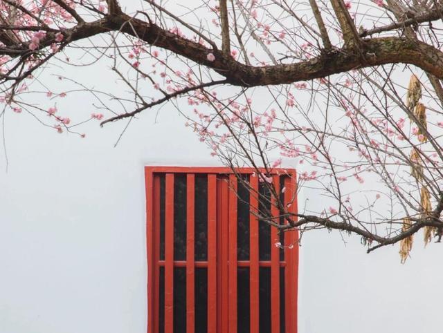 a型血水瓶座的人