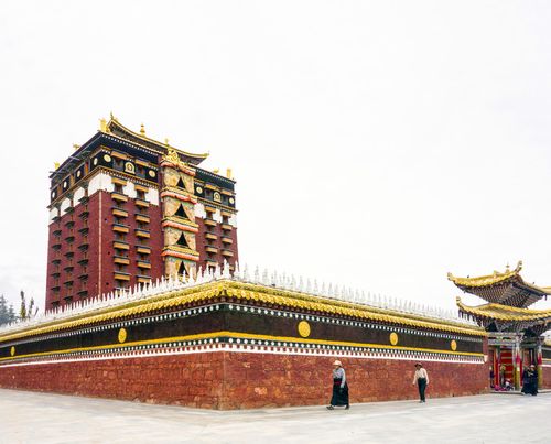 农村住宅前后种树风水 农村住宅前后种树风水
