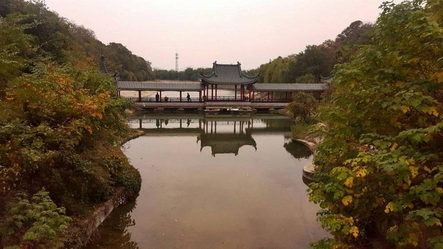 水瓶座感情修复的表现是 水瓶座的守护花精灵是谁