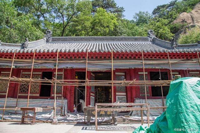 属猪的处女座性格特点